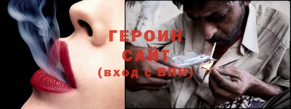 прущие грибы Ельня